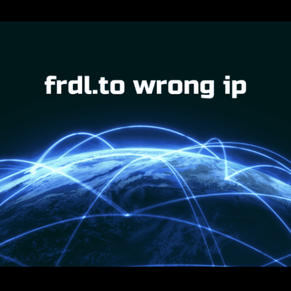 Resolving the “Frdl.to Wrong IP” Issue